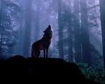 weerwolf